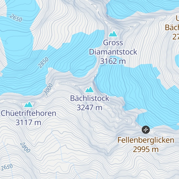 Map of Bächlistock