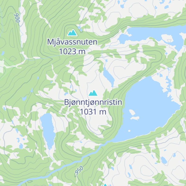 Map of Bjønntjønnristin