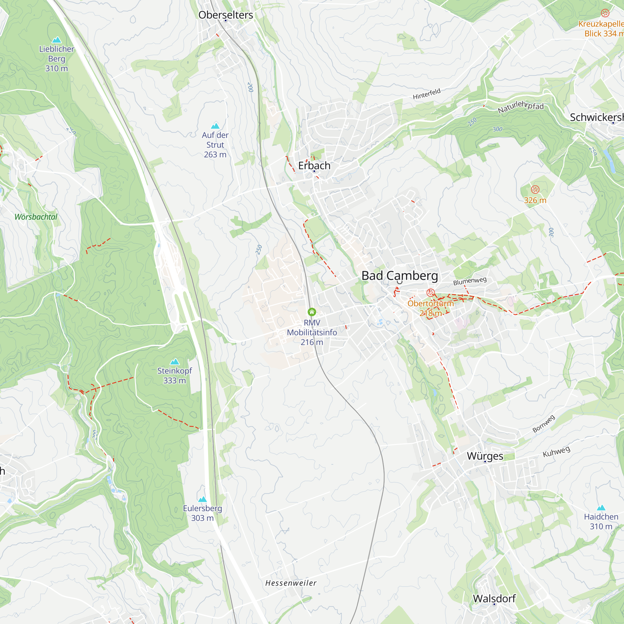 RMV Mobilitätsinfo map