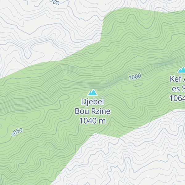 Map of Djebel Bou Rzine