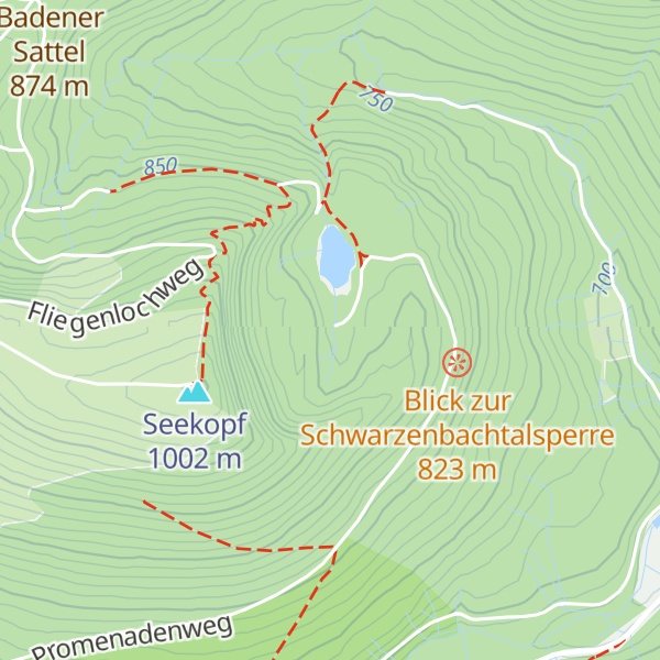 Map of Herrenwieser See Hütte