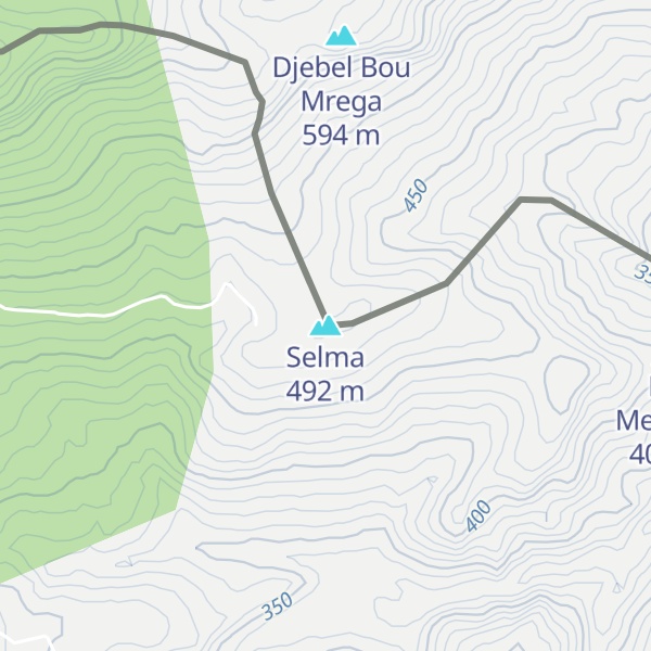 Map of Selma