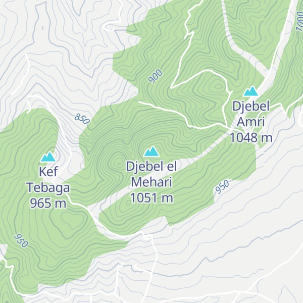 Map of Djebel el Mehari