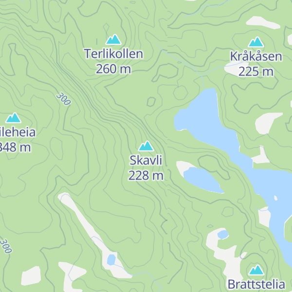Map of Skavli