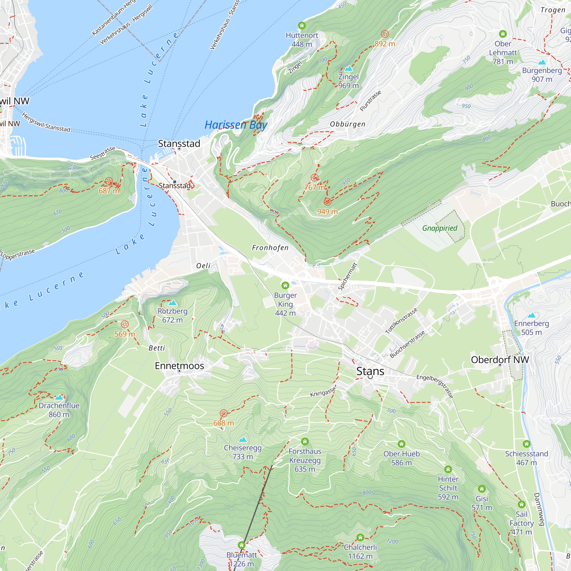 Burger King map