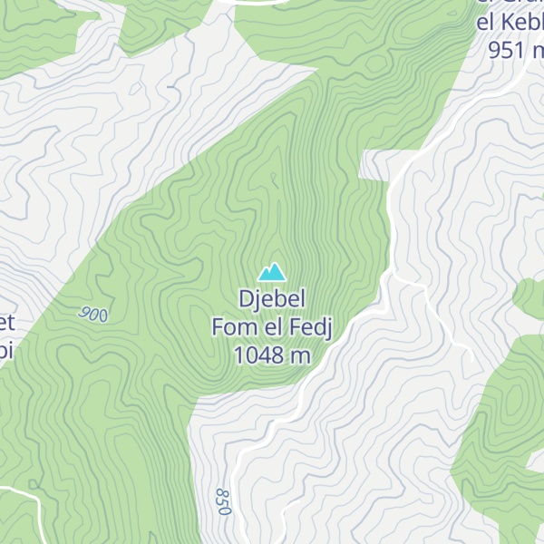 Map of Djebel Fom el Fedj