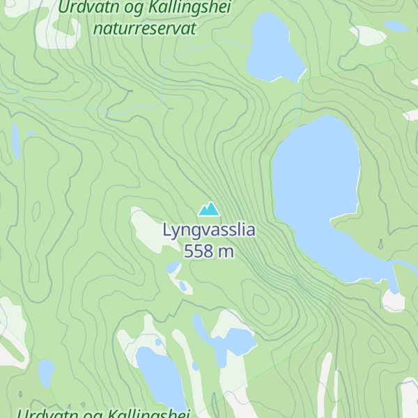 Map of Lyngvasslia