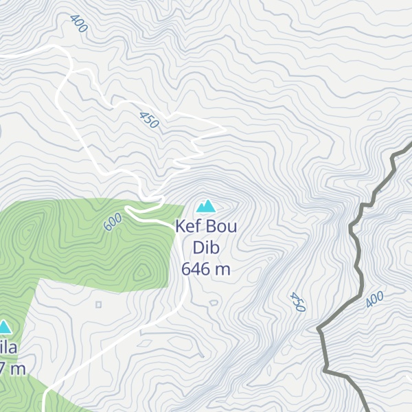Map of Kef Bou Dib