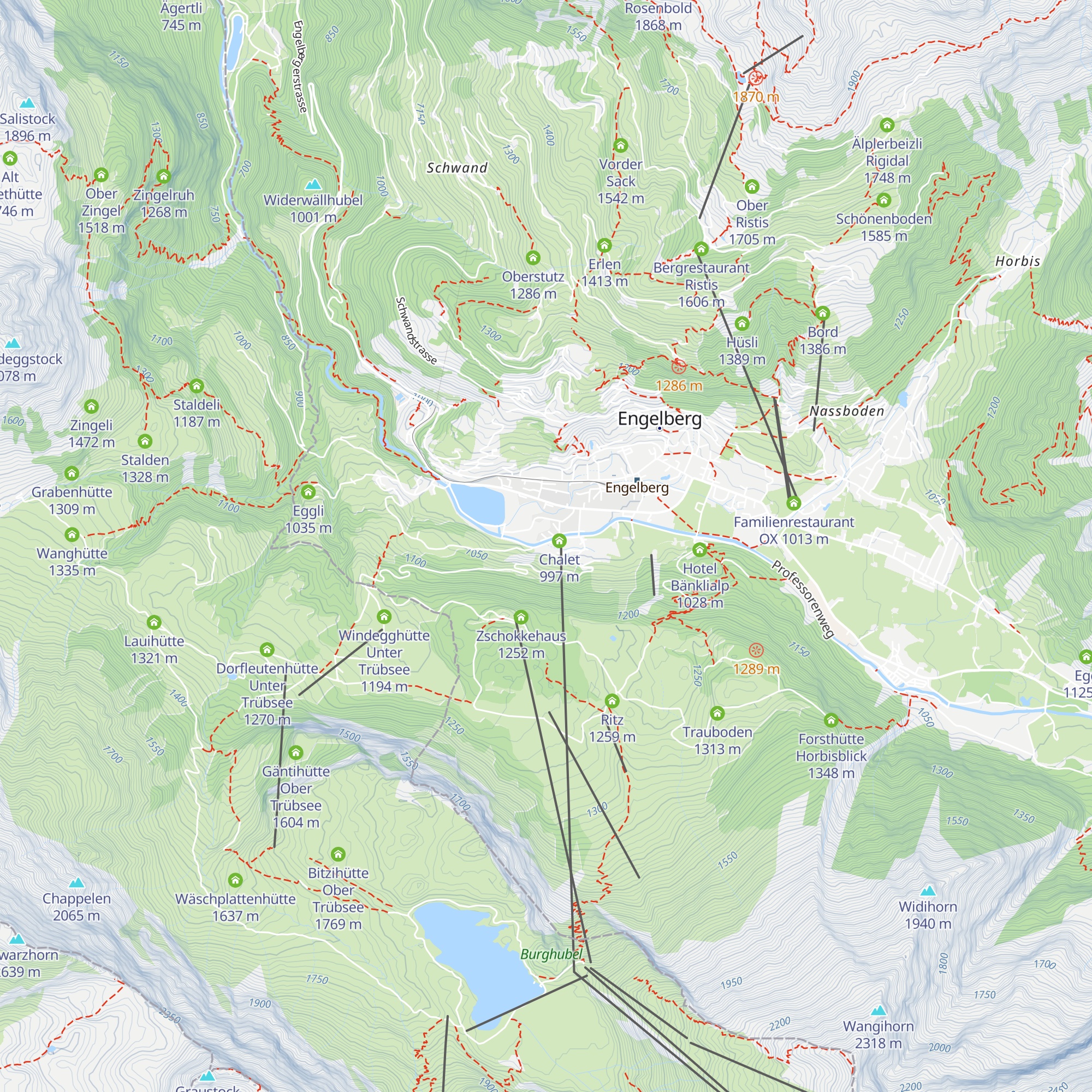 Linie 8 map