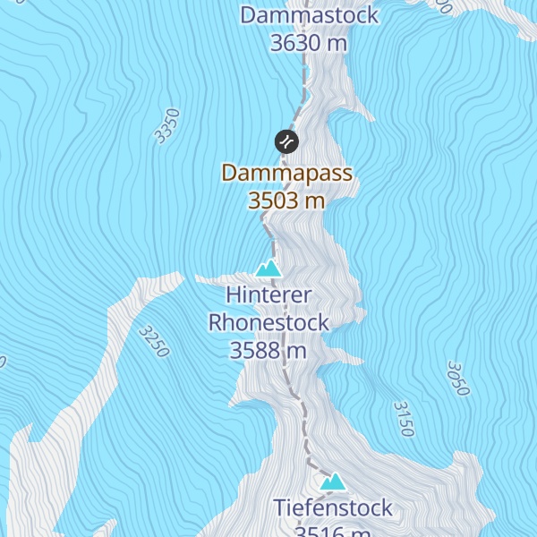 Map of Hinterer Rhonestock