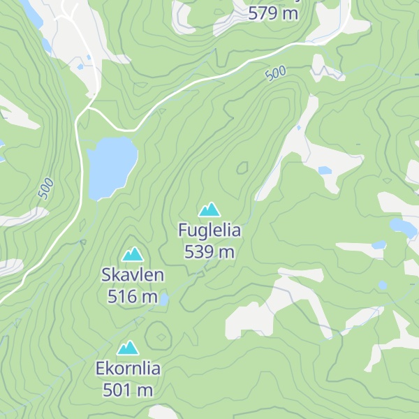Map of Fuglelia