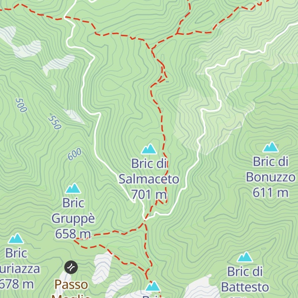 Map of Bric di Salmaceto