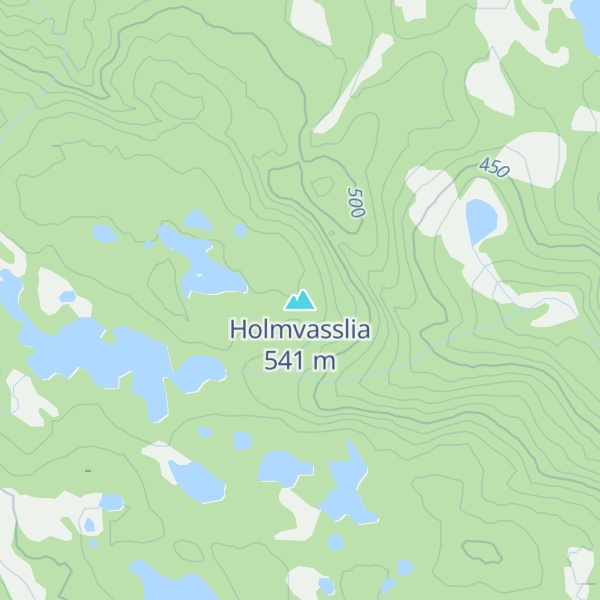 Map of Holmvasslia