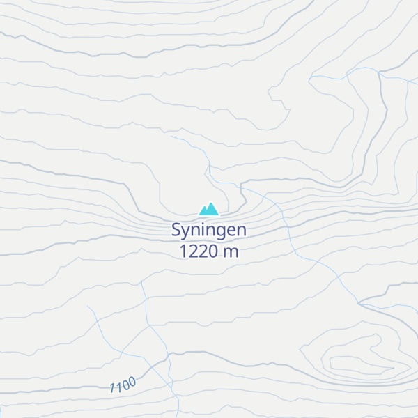 Map of Syningen