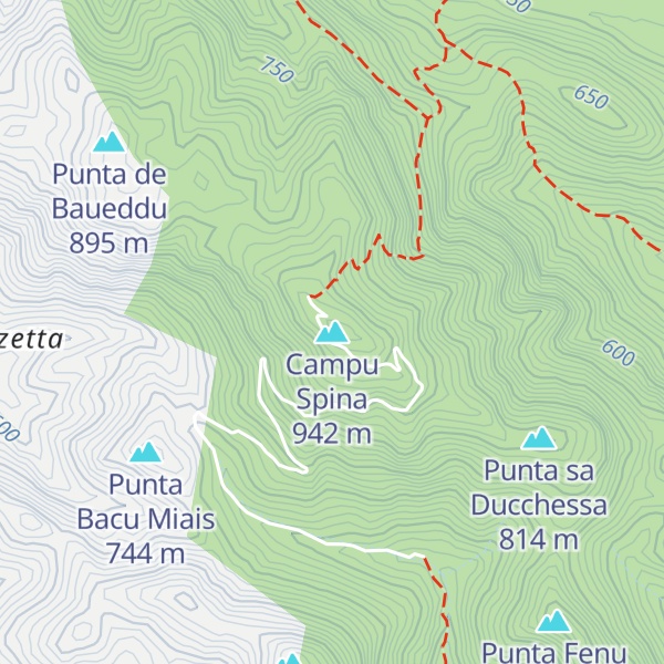 Map of Campu Spina