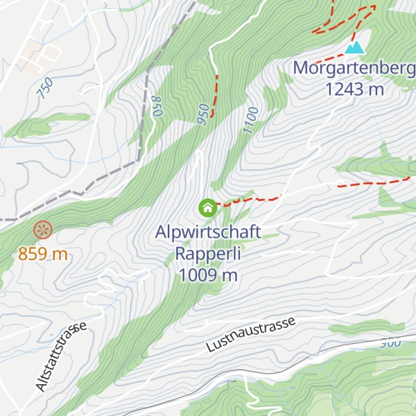Map of Alpwirtschaft Rapperli