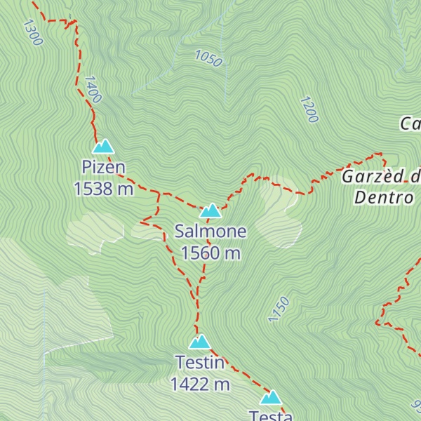 Map of Salmone