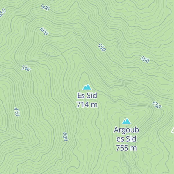 Map of Es Sid