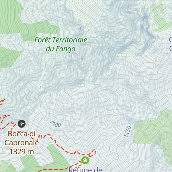 Map of E Custole