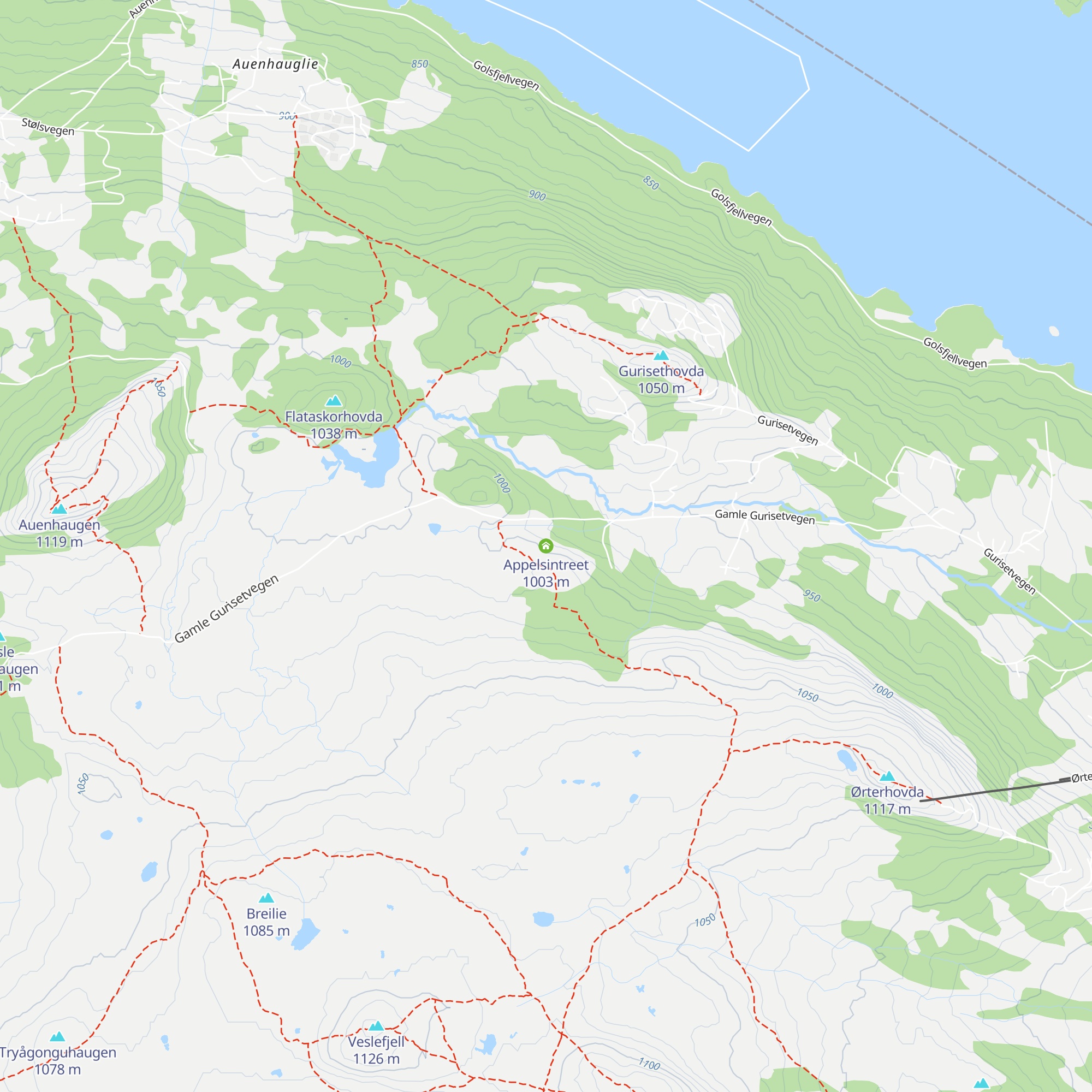 Appelsintreet map