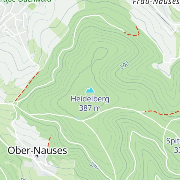 Map of Heidelberg