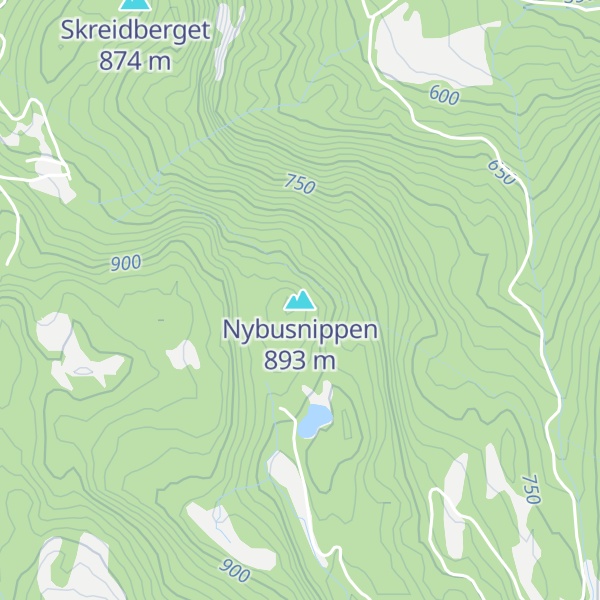 Map of Nybusnippen