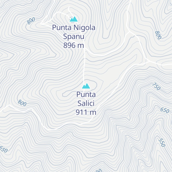 Map of Punta Salici