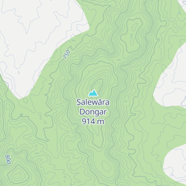 Map of Salewāra Dongar
