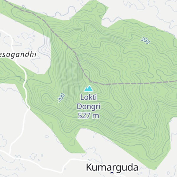 Map of Lokti Dongri