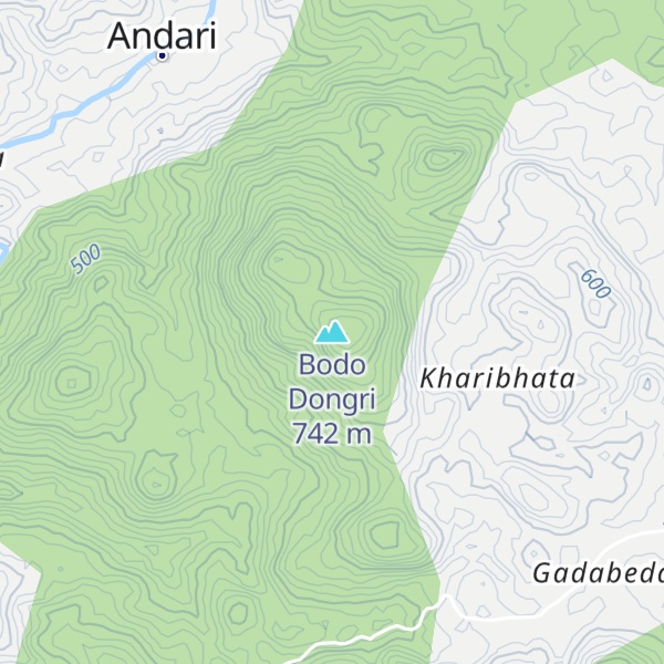 Map of Bodo Dongri