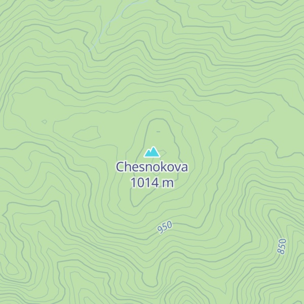 Map of Chesnokova