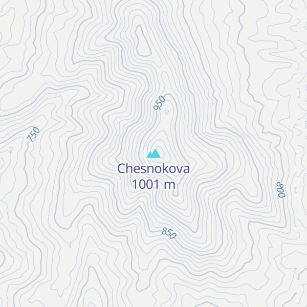 Map of Chesnokova