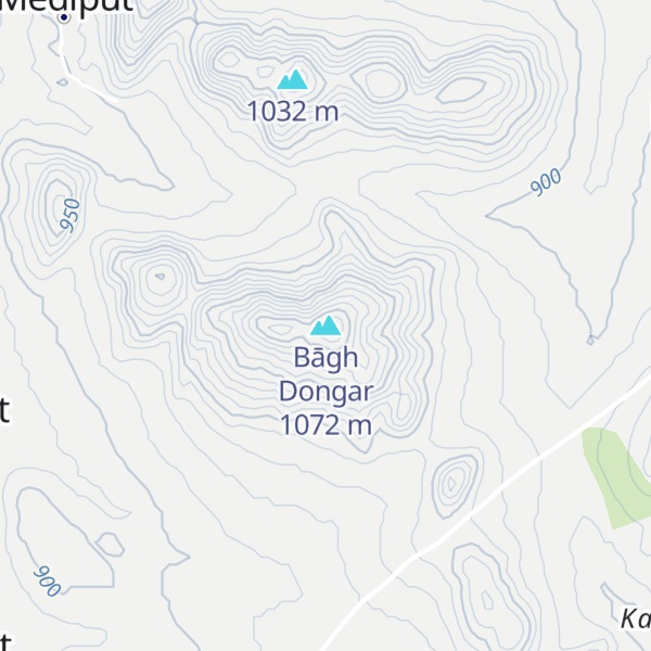 Map of Bāgh Dongar