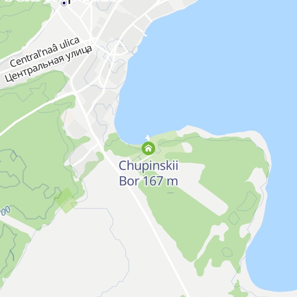 Map of Chupinskii Bor