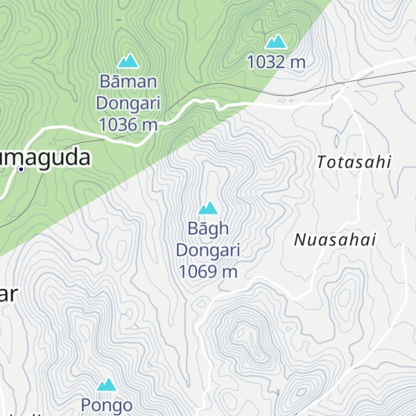 Map of Bāgh Dongari