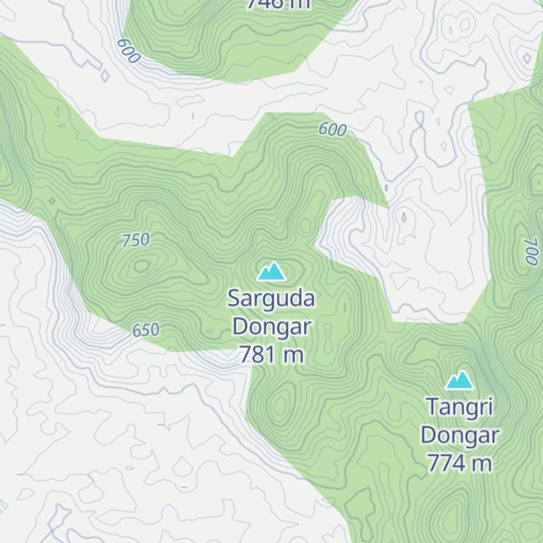 Map of Sarguda Dongar