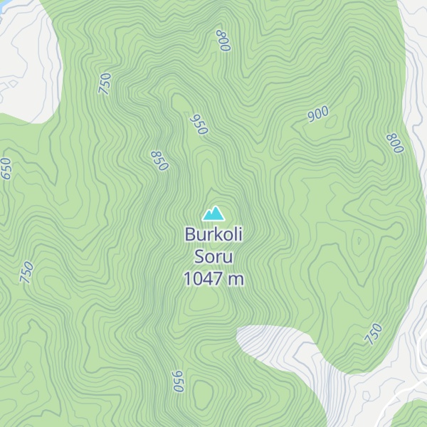Map of Burkoli Soru