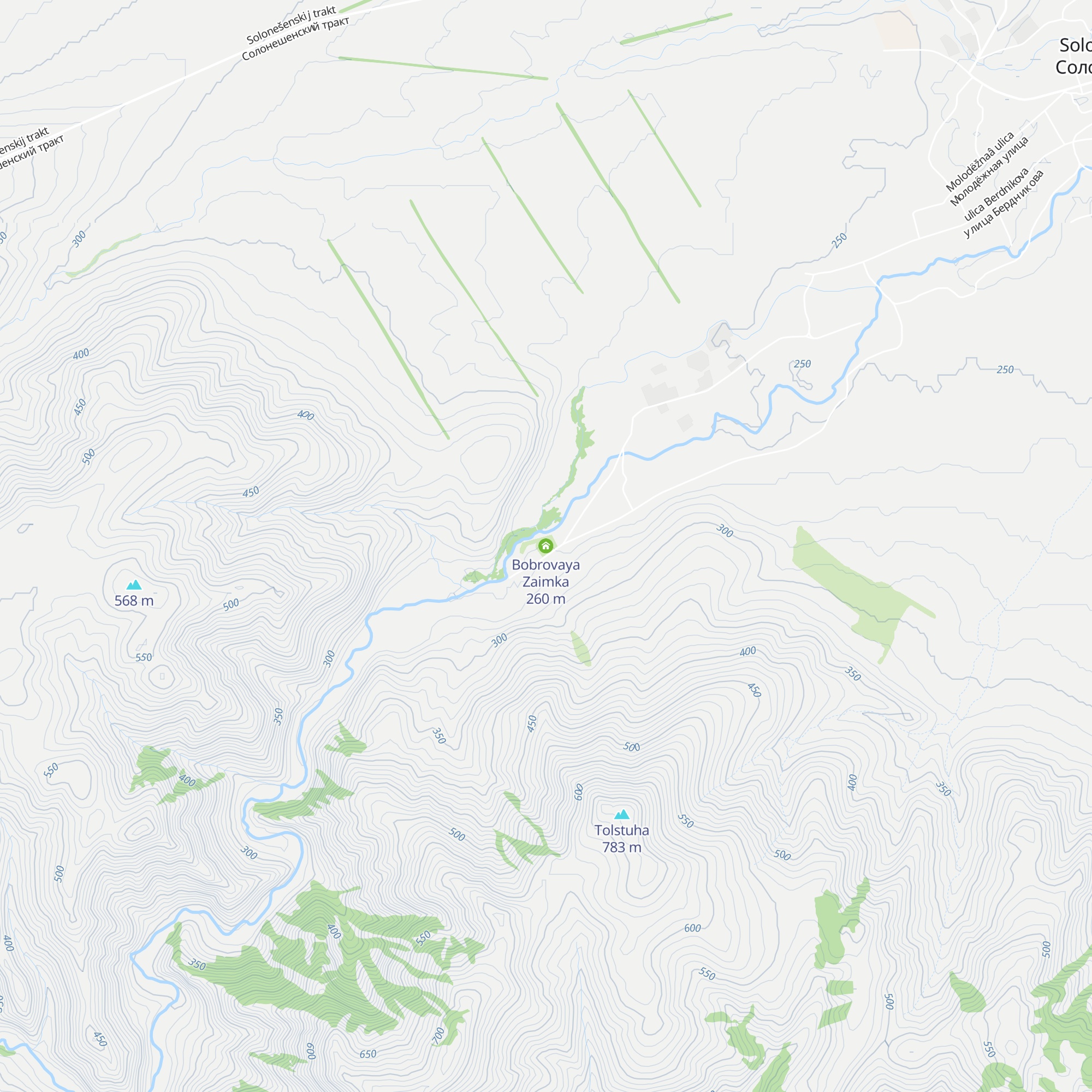Bobrovaya Zaimka map