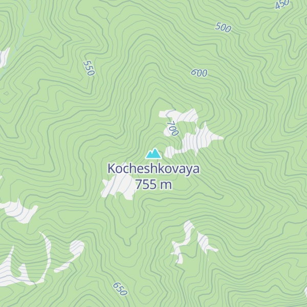Map of Kocheshkovaya