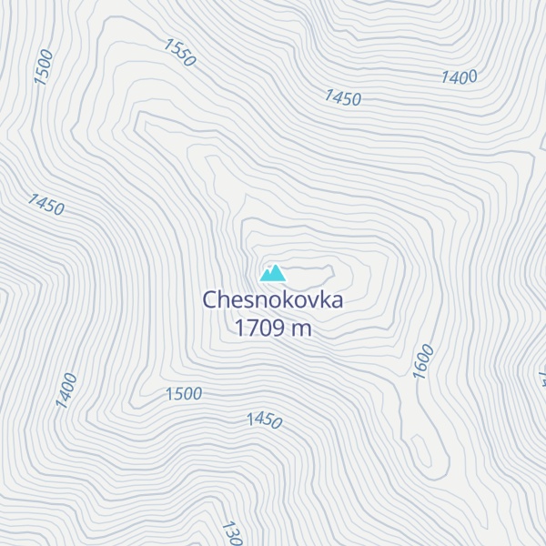 Map of Chesnokovka
