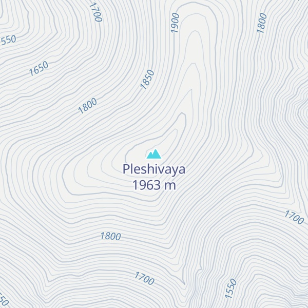 Map of Pleshivaya