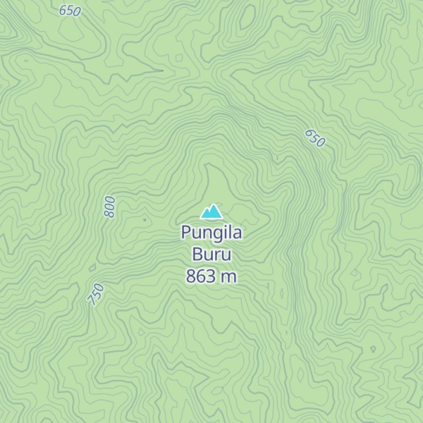 Map of Pungila Buru