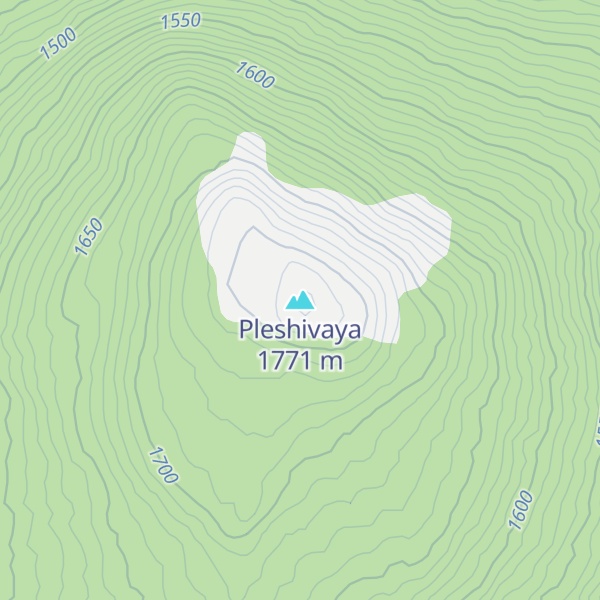 Map of Pleshivaya