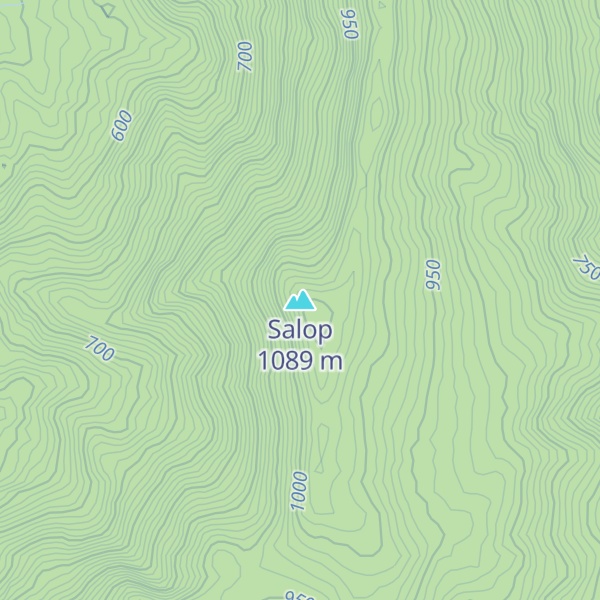 Map of Salop