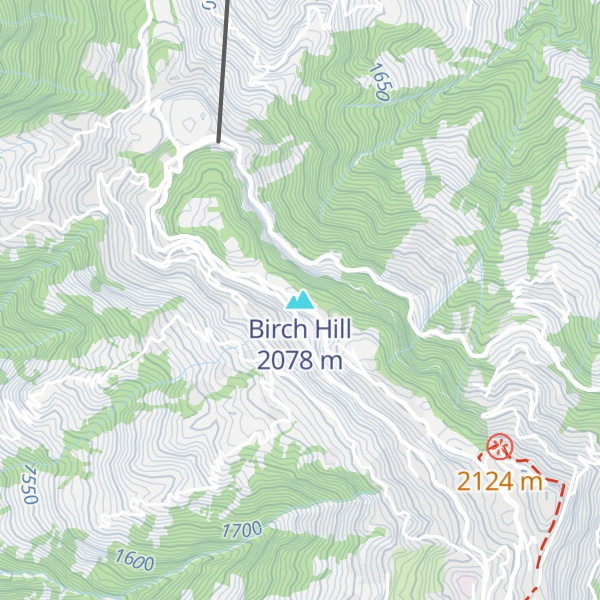 Map of Birch Hill