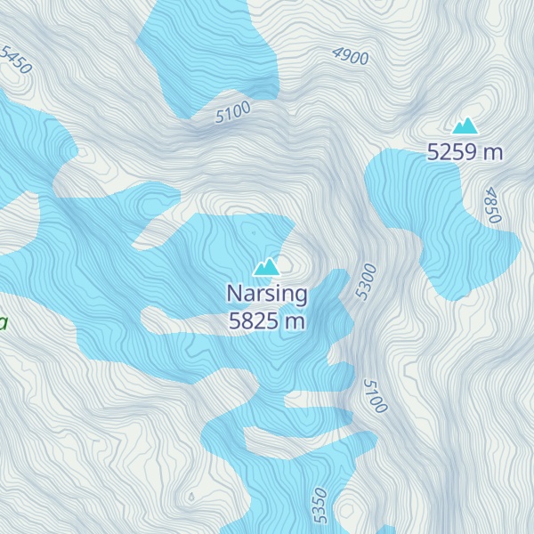 Map of Narsing