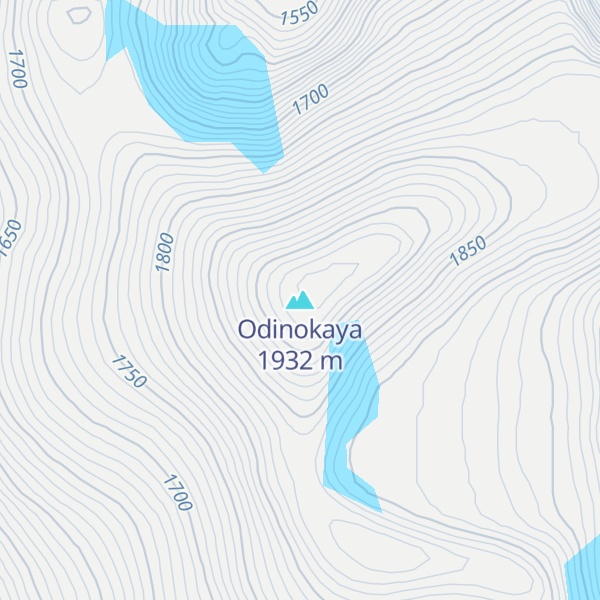 Map of Odinokaya