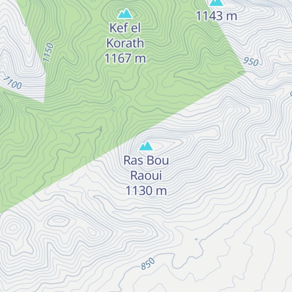Map of Ras Bou Raoui