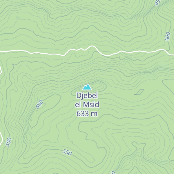 Map of Djebel el Msid