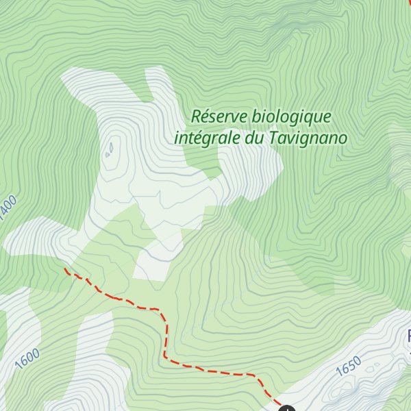 Map of Punta Rusinca